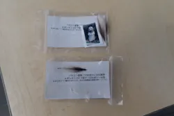 サンシャイン水族館に投稿された画像（2026/4/18）