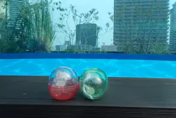 サンシャイン水族館に投稿された画像（2026/4/18）