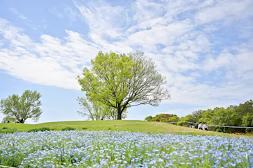 万博記念公園に投稿された画像（2026/4/18）