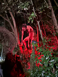 ニジゲンノモリに投稿された画像（2026/4/18）