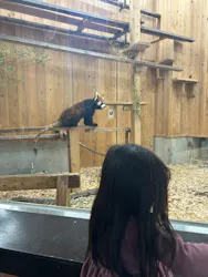 名古屋市東山動植物園に投稿された画像（2026/4/18）