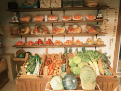 西武園ゆうえんちに投稿された画像（2026/4/18）