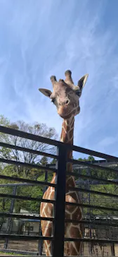 宇都宮動物園に投稿された画像（2026/4/18）