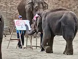 ANIMAL WONDER REZOURT 市原ぞうの国・サユリワールドに投稿された画像（2026/4/19）