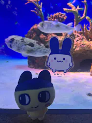 新江ノ島水族館に投稿された画像（2026/4/18）