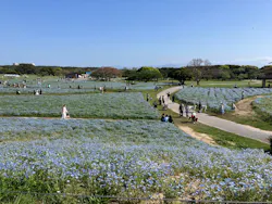 マリンワールド海の中道に投稿された画像（2026/4/18）