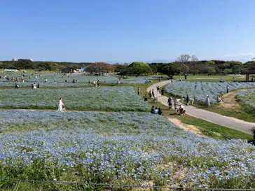マリンワールド海の中道に投稿された画像（2026/4/18）