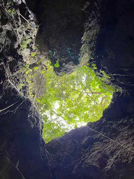 CAVE OKINAWAに投稿された画像（2026/4/18）