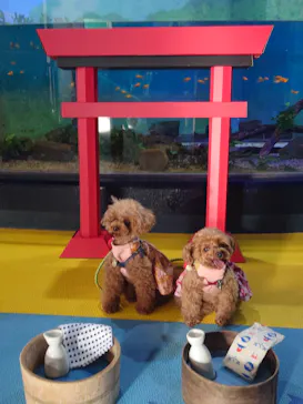 箱根園水族館に投稿された画像（2026/4/18）