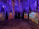 動き出す妖怪展 TOKYO 〜Imagination of Japan〜に投稿された画像（2026/4/19）