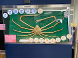 竹島水族館に投稿された画像（2026/4/19）