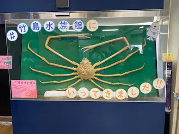 竹島水族館に投稿された画像（2026/4/19）