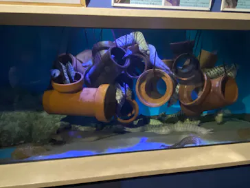 竹島水族館に投稿された画像（2026/4/19）
