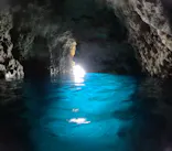 武藤潜水に投稿された画像（2026/4/19）