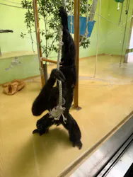 名古屋市東山動植物園に投稿された画像（2026/4/19）