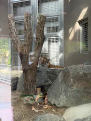 名古屋市東山動植物園に投稿された画像（2026/4/19）