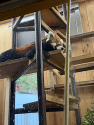 名古屋市東山動植物園に投稿された画像（2026/4/19）