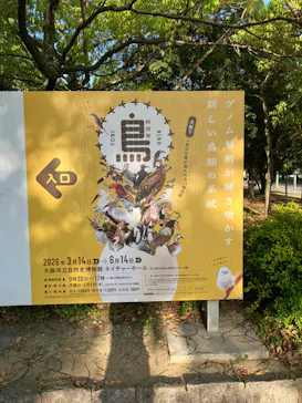 特別展「鳥 ～ゲノム解析が解き明かす新しい鳥類の系統～」に投稿された画像（2026/4/19）
