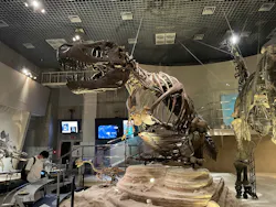 国立科学博物館に投稿された画像（2026/4/19）