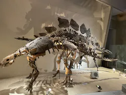 国立科学博物館に投稿された画像（2026/4/19）