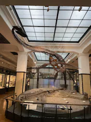 国立科学博物館に投稿された画像（2026/4/19）