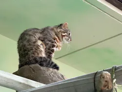 名古屋市東山動植物園に投稿された画像（2026/4/19）