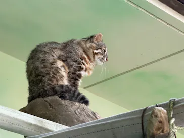 名古屋市東山動植物園に投稿された画像（2026/4/19）
