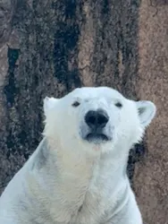 天王寺動物園に投稿された画像（2026/4/19）