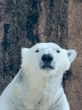 天王寺動物園に投稿された画像（2026/4/19）