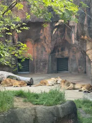 天王寺動物園に投稿された画像（2026/4/19）