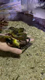 ゼロ距離水族館 伊勢シーパラダイスに投稿された画像（2026/4/19）