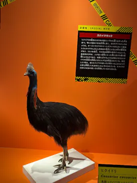 特別展「超危険生物展　科学で挑む生き物の本気」に投稿された画像（2026/4/19）