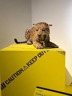 特別展「超危険生物展　科学で挑む生き物の本気」に投稿された画像（2026/4/19）