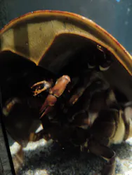 環境水族館アクアマリンふくしまに投稿された画像（2026/4/19）