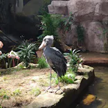 那須どうぶつ王国に投稿された画像（2026/4/19）