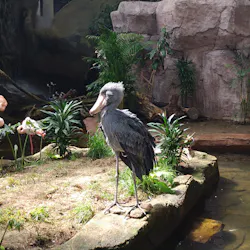 那須どうぶつ王国に投稿された画像（2026/4/19）