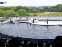京都水族館に投稿された画像（2026/4/19）