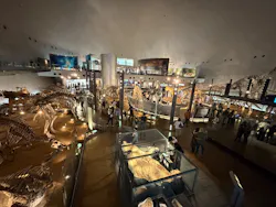 福井県立恐竜博物館に投稿された画像（2026/4/19）