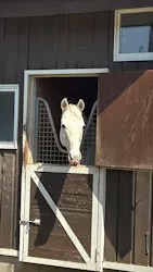 ノーザンホースパークに投稿された画像（2026/4/19）