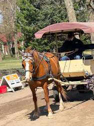 ノーザンホースパークに投稿された画像（2026/4/19）