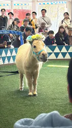 ノーザンホースパークに投稿された画像（2026/4/19）