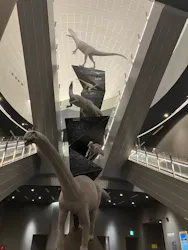 福井県立恐竜博物館に投稿された画像（2026/4/19）