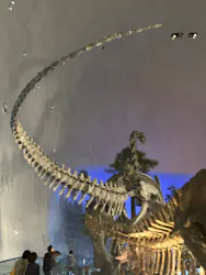 福井県立恐竜博物館に投稿された画像（2026/4/19）