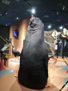 特別展「超危険生物展　科学で挑む生き物の本気」に投稿された画像（2026/4/19）