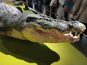 特別展「超危険生物展　科学で挑む生き物の本気」に投稿された画像（2026/4/19）