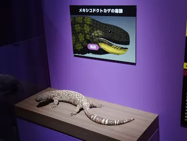 特別展「超危険生物展　科学で挑む生き物の本気」に投稿された画像（2026/4/19）
