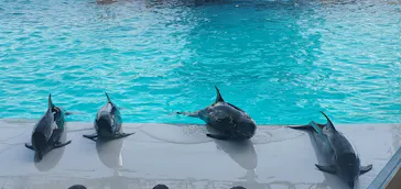 アドベンチャーワールドに投稿された画像（2026/4/19）