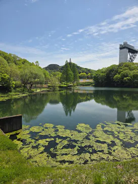 ぎふワールド・ローズガーデンに投稿された画像（2026/4/19）