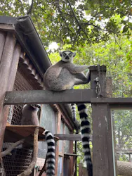 神戸どうぶつ王国に投稿された画像（2026/4/19）