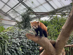 神戸どうぶつ王国に投稿された画像（2026/4/19）